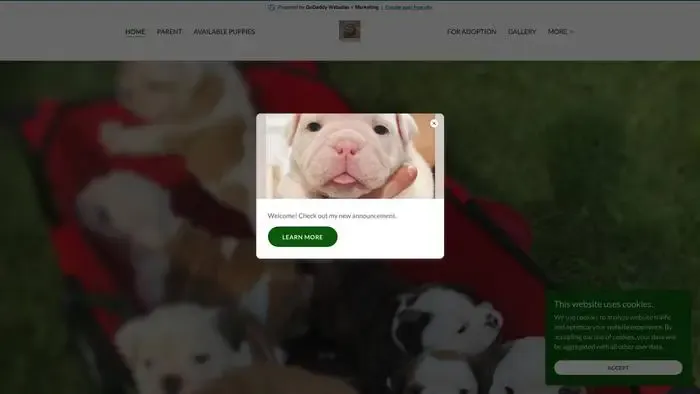 Screenshot of