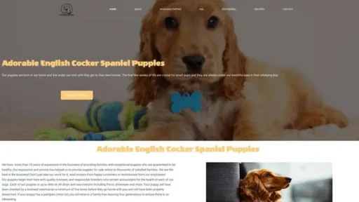 Screenshot of