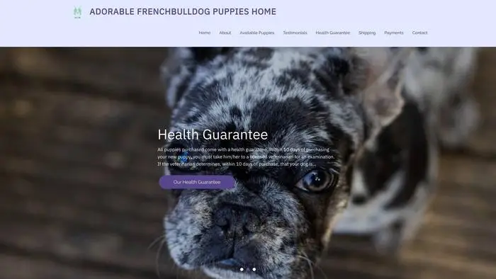 Screenshot of