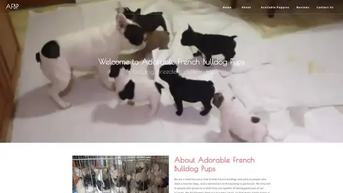 Screenshot of