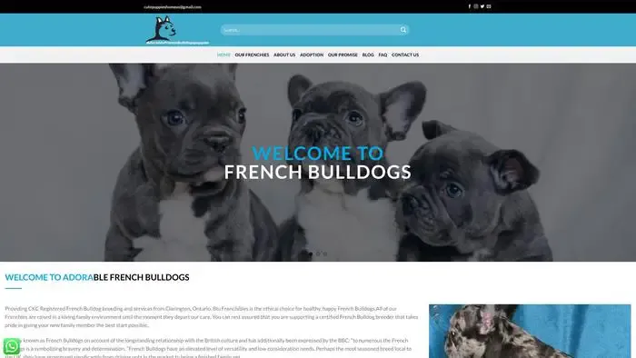 Screenshot of