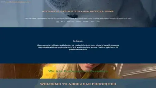 Screenshot of