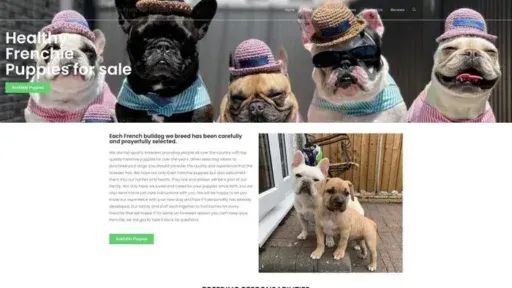 Screenshot of