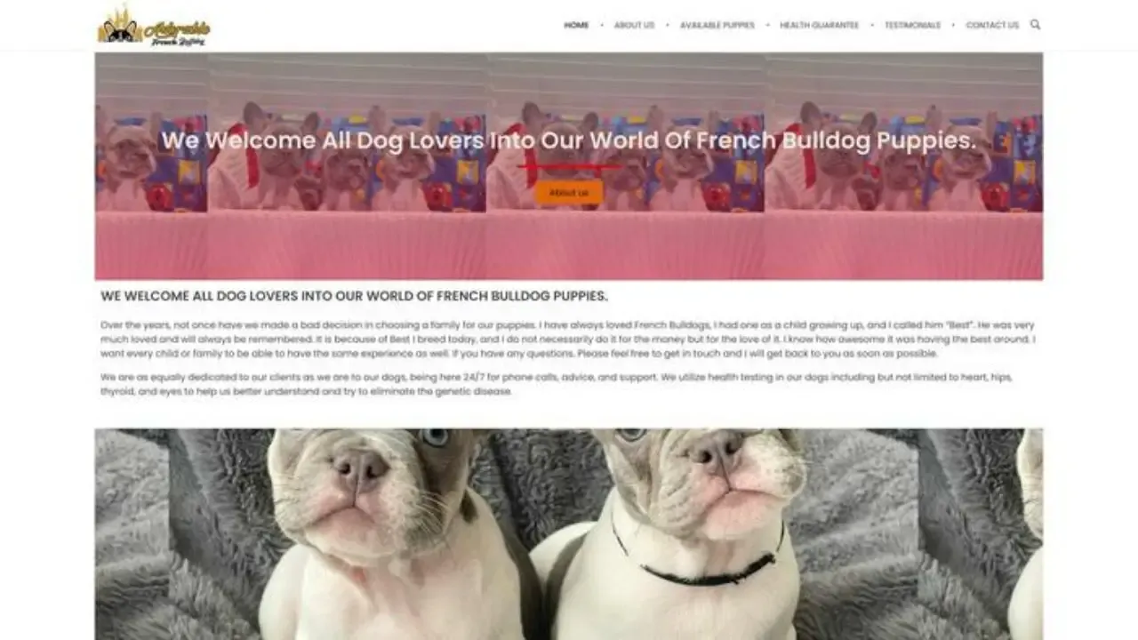 Adorablefrenchiesusa