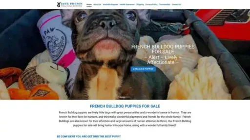Screenshot of