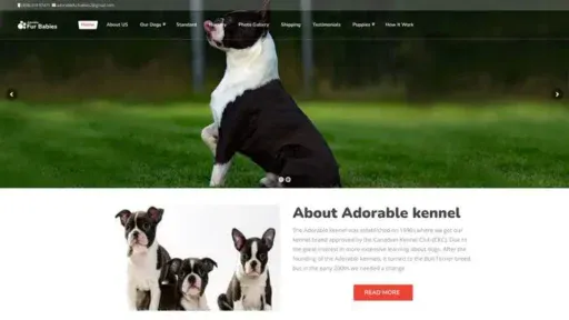 Screenshot of