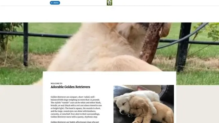 Screenshot of