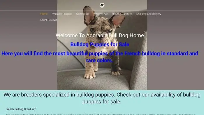 Screenshot of