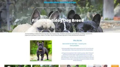 Screenshot of