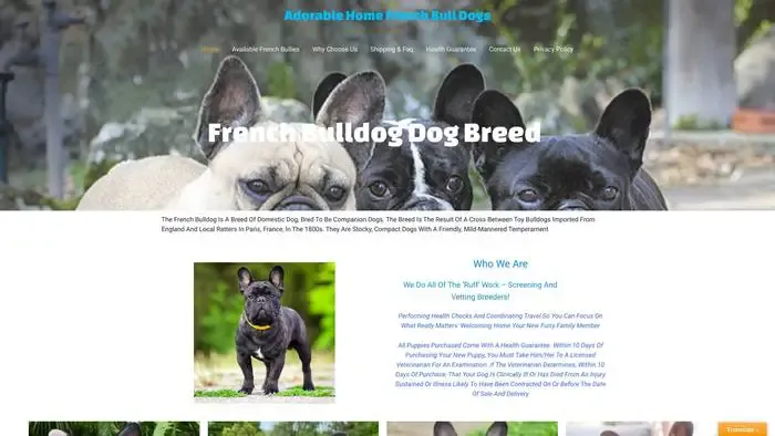 Screenshot of