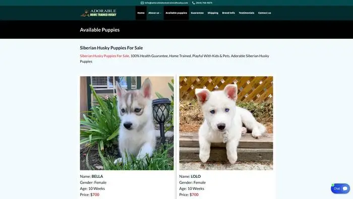Screenshot of
