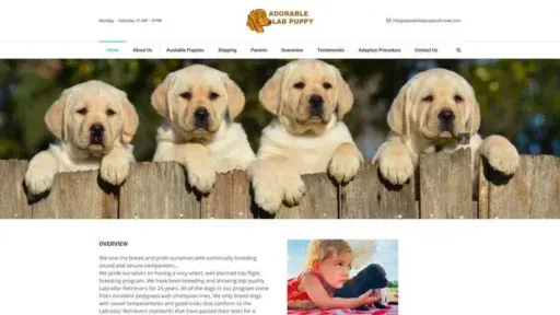 Screenshot of