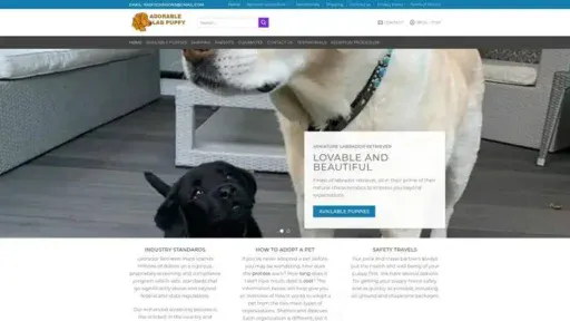 Screenshot of