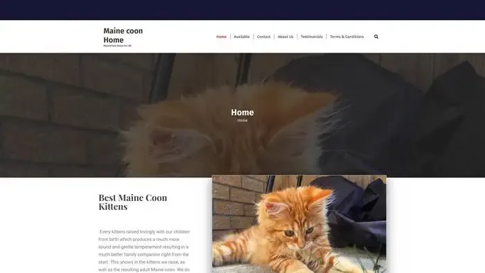 Screenshot of