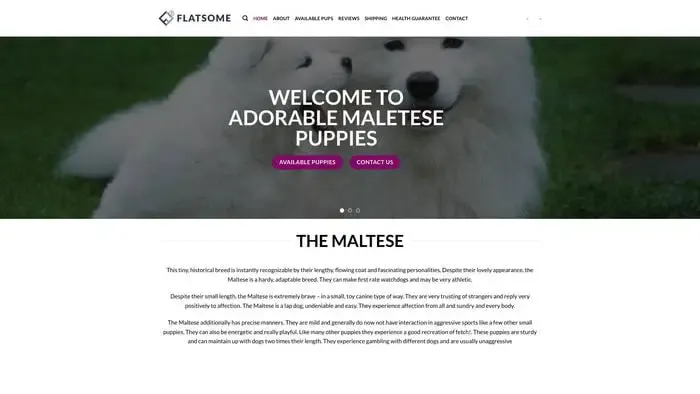 Screenshot of