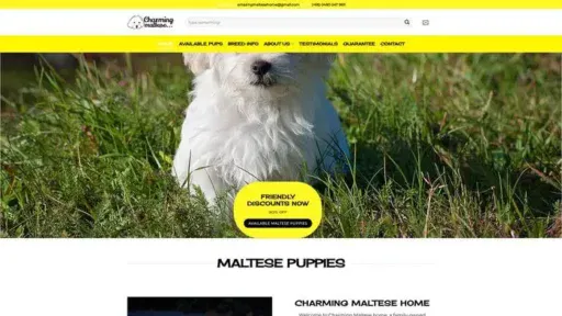 Screenshot of