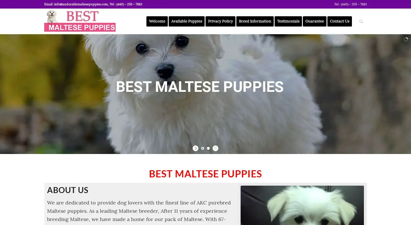 Screenshot of