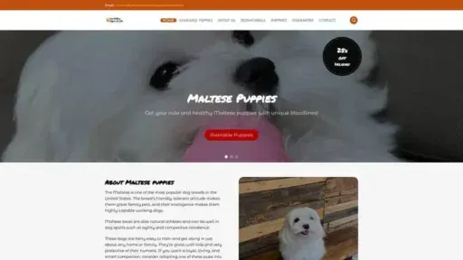 Screenshot of
