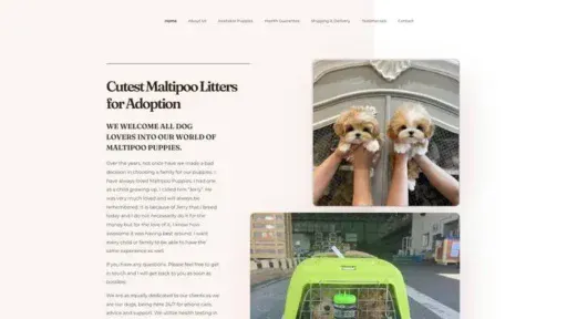 Screenshot of
