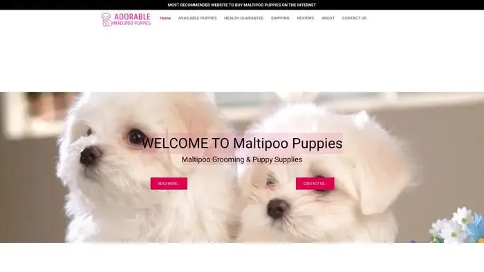 Screenshot of