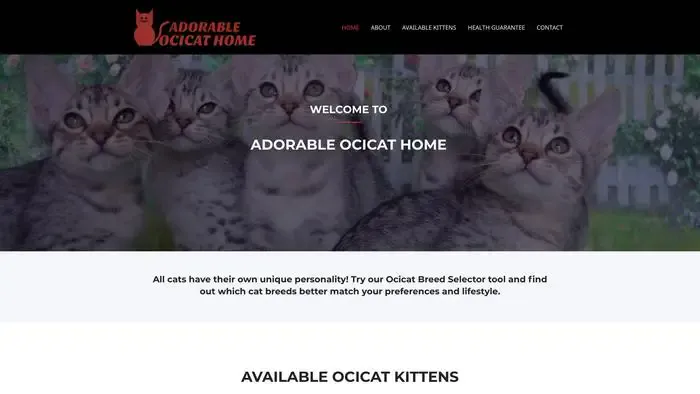 Screenshot of