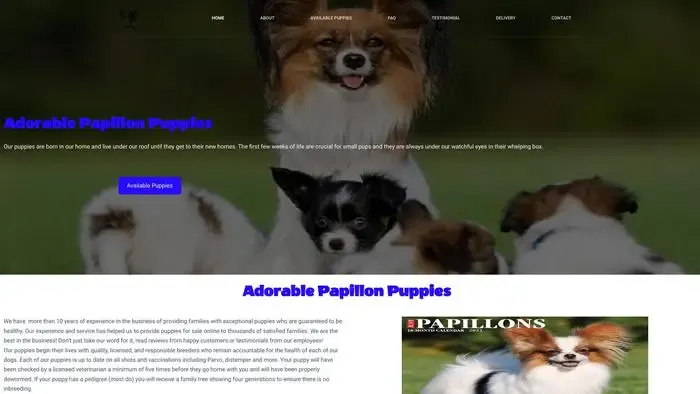Screenshot of