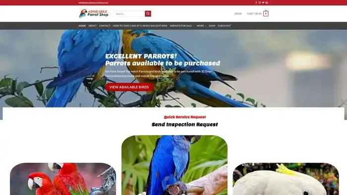 Screenshot of
