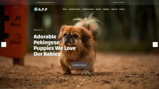 Screenshot of