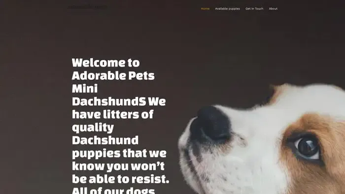 Screenshot of
