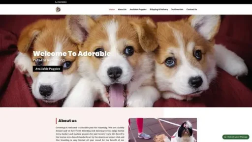 Screenshot of