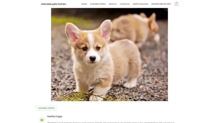 Screenshot of