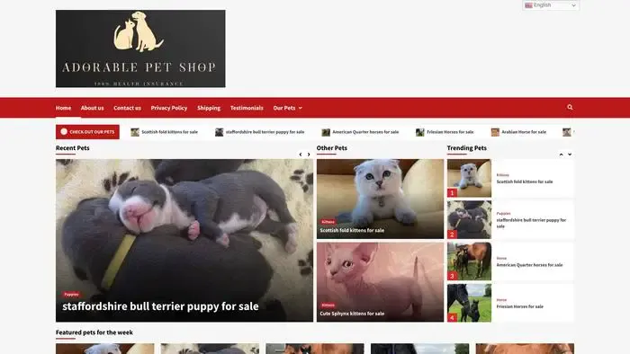 Screenshot of