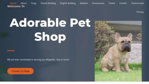 Screenshot of