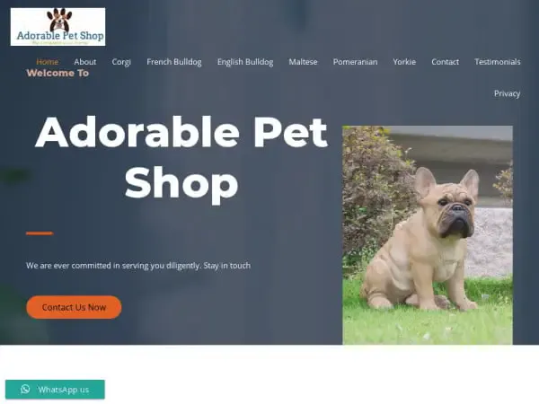 Screenshot of