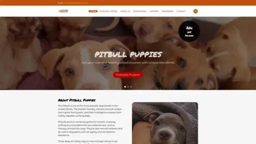 Screenshot of
