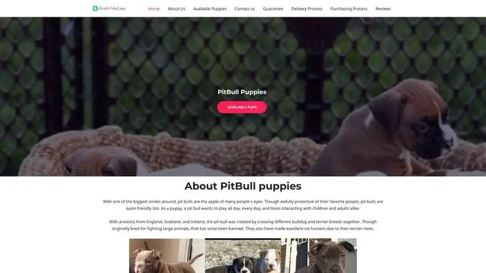 Screenshot of