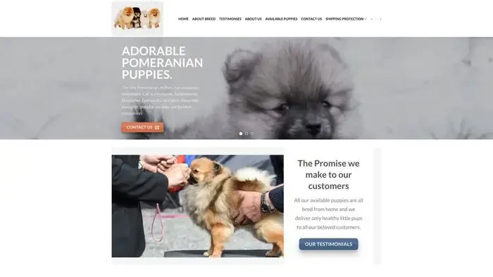 Screenshot of