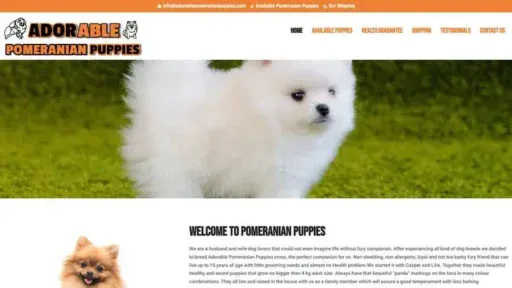 Screenshot of