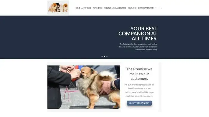 Screenshot of