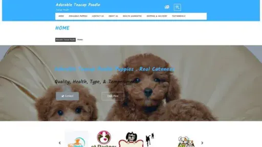 Screenshot of