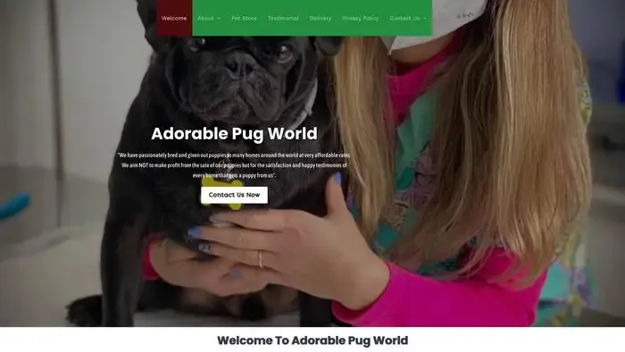 Screenshot of