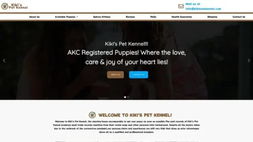 Screenshot of