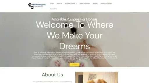 Screenshot of