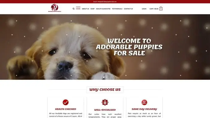 Screenshot of