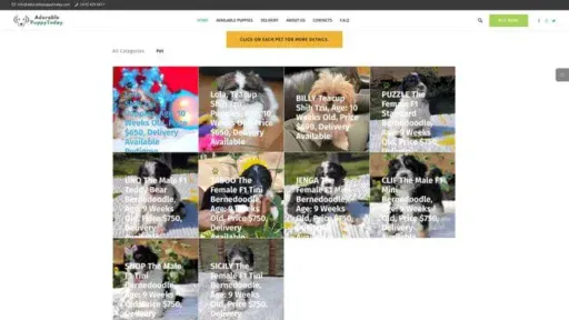 Screenshot of