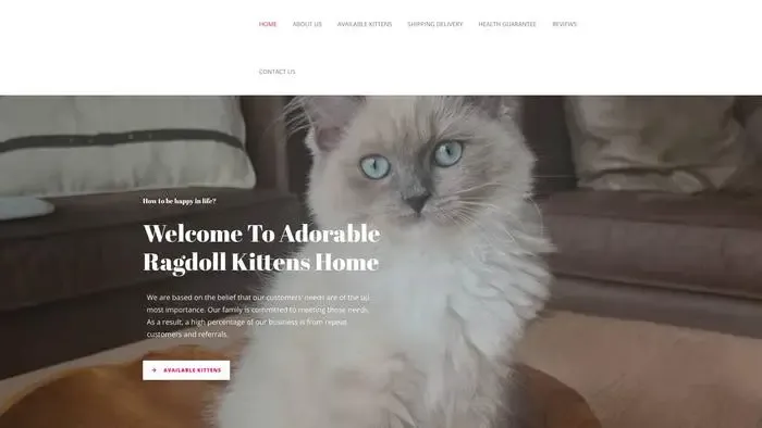 Screenshot of