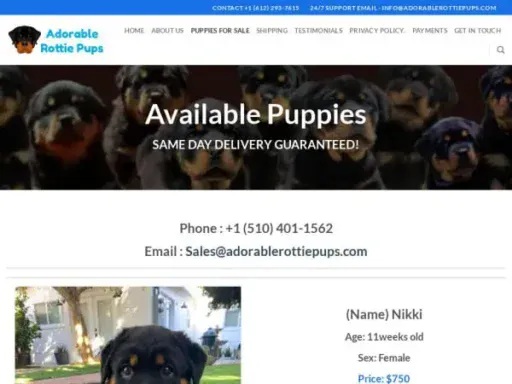 Screenshot of