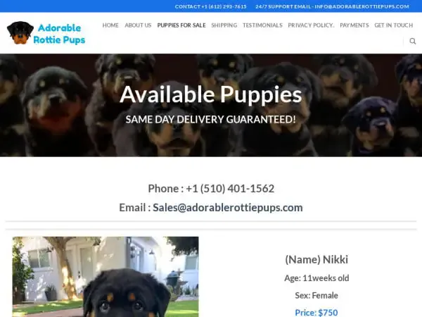 Screenshot of