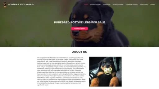 Screenshot of