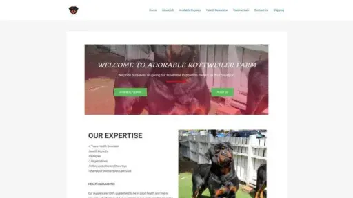 Screenshot of